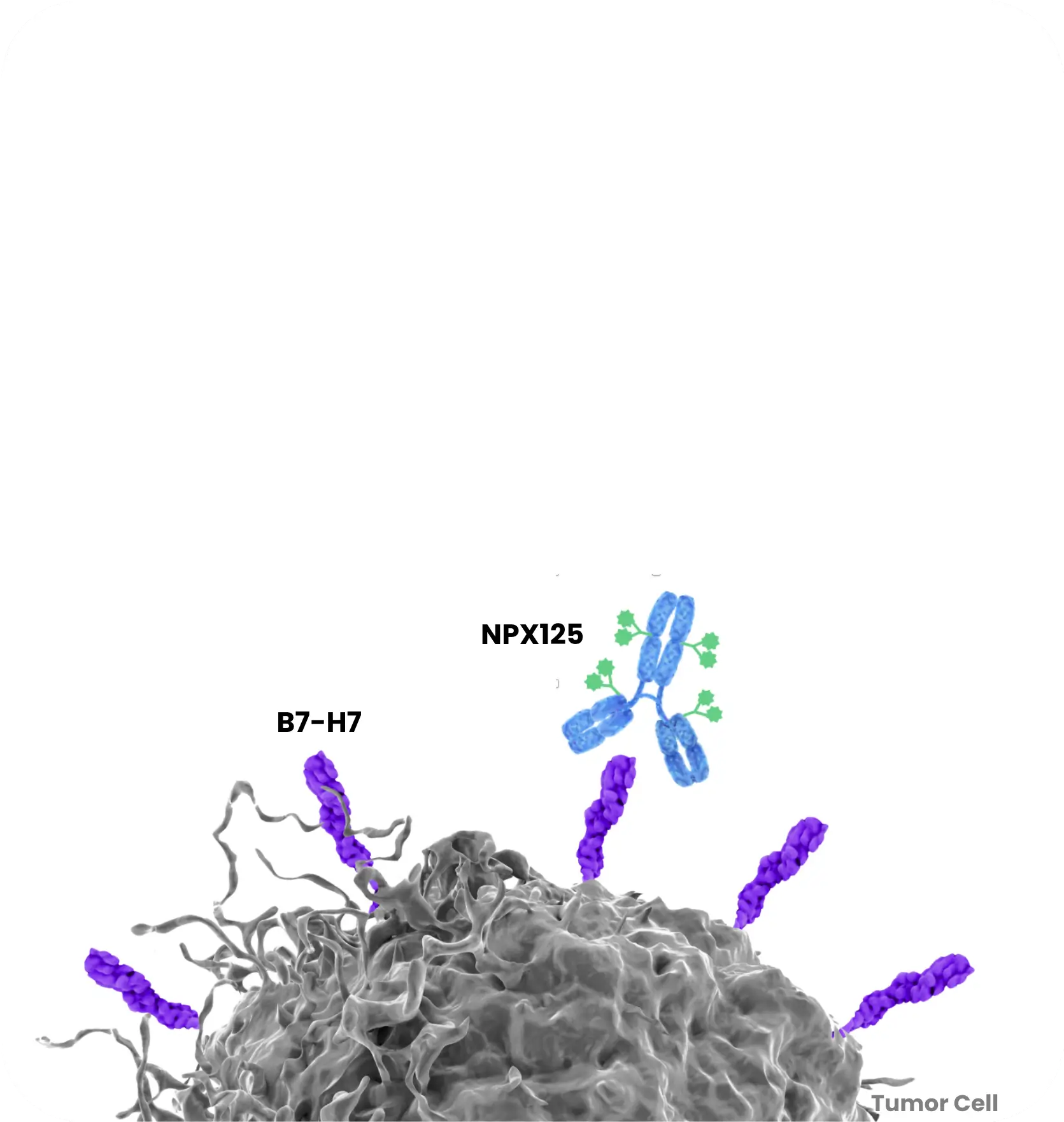 Pipeline full diag npx125 update