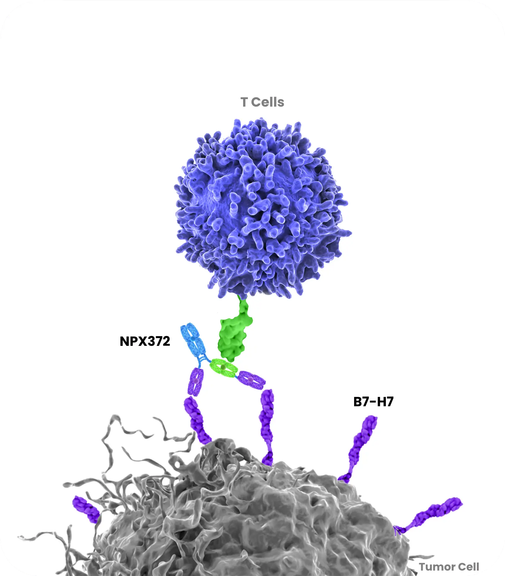 Pipeline full diag npx372 update