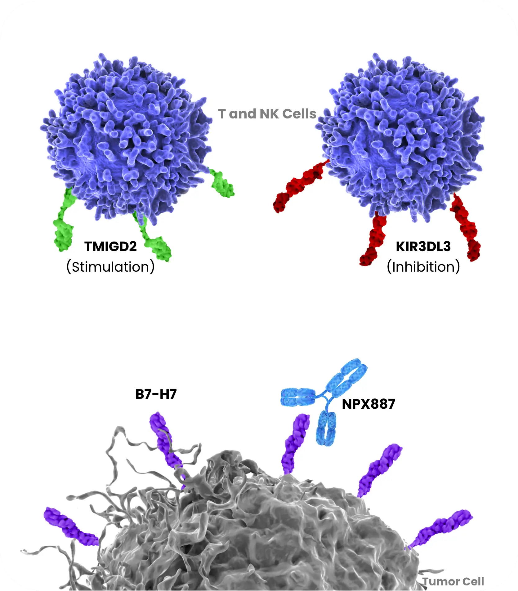 Pipeline full diag npx887 update