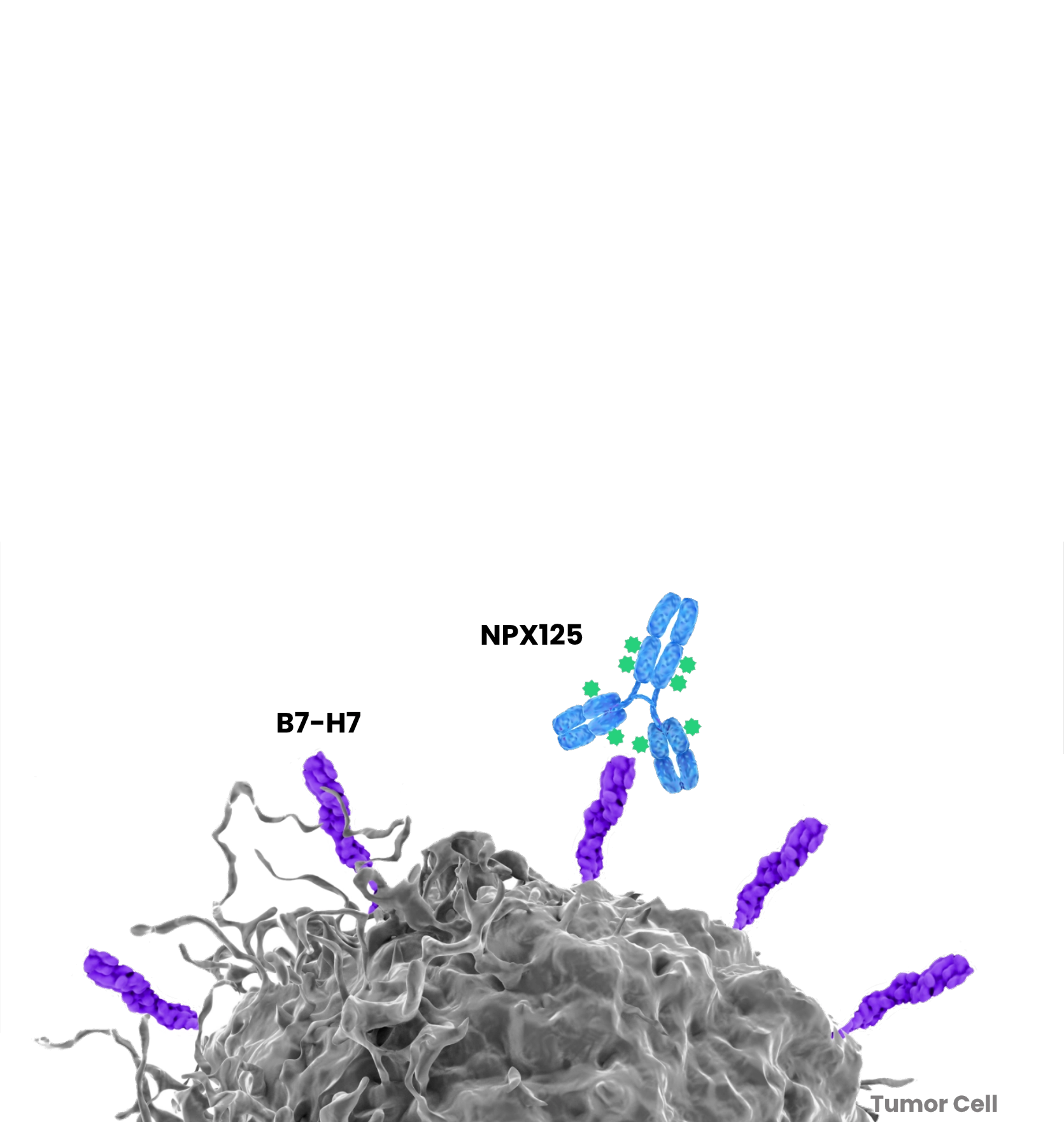Pipeline full diag npx125 update v2